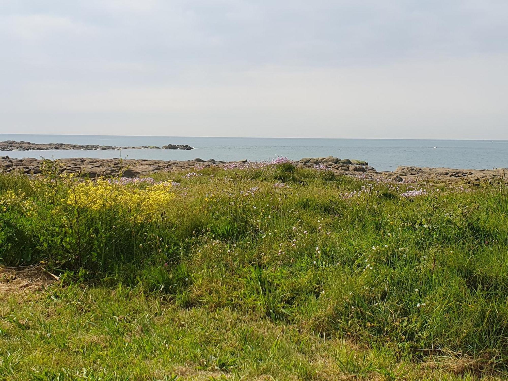 Le Relais Du Phare Hotel Gatteville-le-Phare Kültér fotó